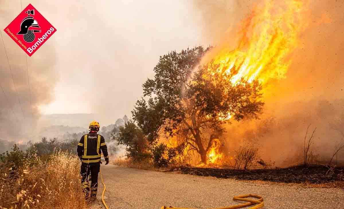 Cifran en cerca de 70.000 los animales muertos por el incendio del Vall d'Ebo / Foto: EP
