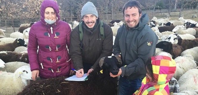 Los fundadores de pastando con lobos firmando el convenio sobre una de sus ovejas / Foto: Pastando con lobos