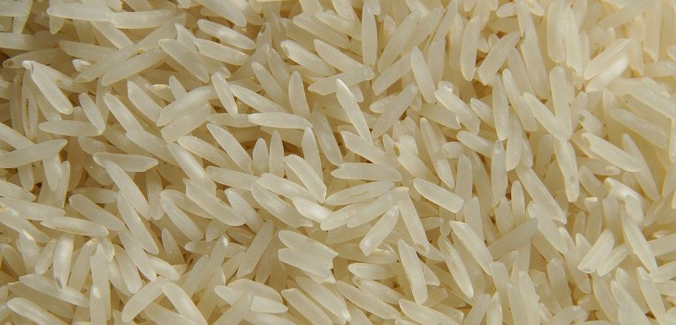 La producción del microbicida empleando el arroz no solo sería más barata, sino más eficaz / Foto: Monsterkoi
