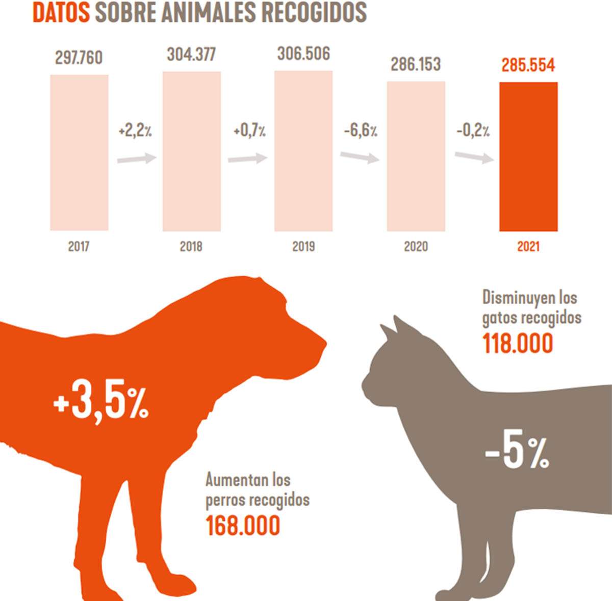 Datos sobre animales recogidos entre 2017-2021 / Imagen: Affinity Datos sobre animales recogidos entre 2017-2021 / Imagen: Affinity