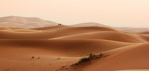 Paisaje de dunas en el sur de Marruecos / Foto: Greg Montani