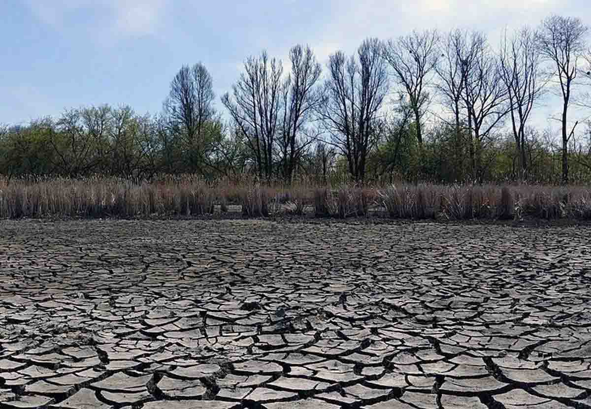 Paisaje marcado por la sequía. COP27 / Foto: Wikimedia