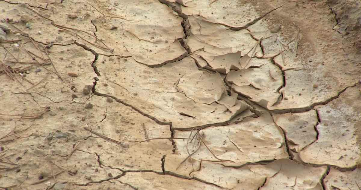 Europa se enfrenta a la peor sequía en los últimos 500 años / Foto: EP