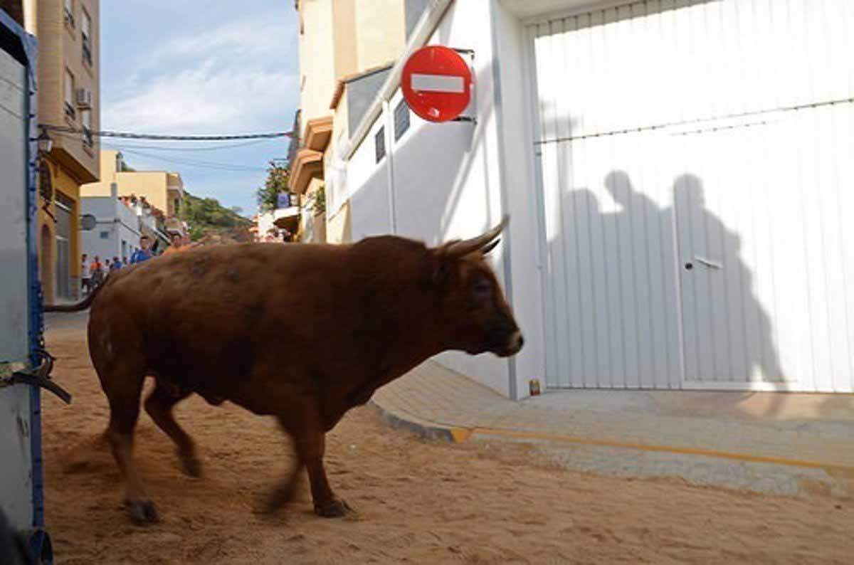 'Bous al Carrer' apoya revisar los protocolos de los festejos / Foto: EP