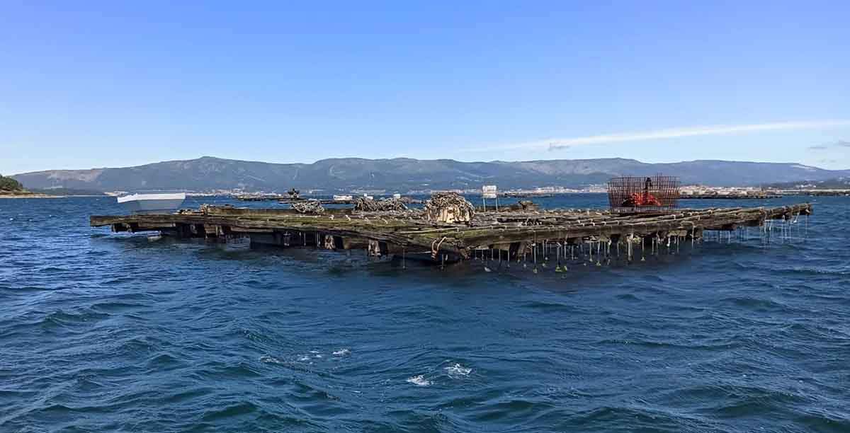 Batea de mejillones en A Illa de Arousa (Galicia). Toxinas en las rías gallegas / Foto: EP