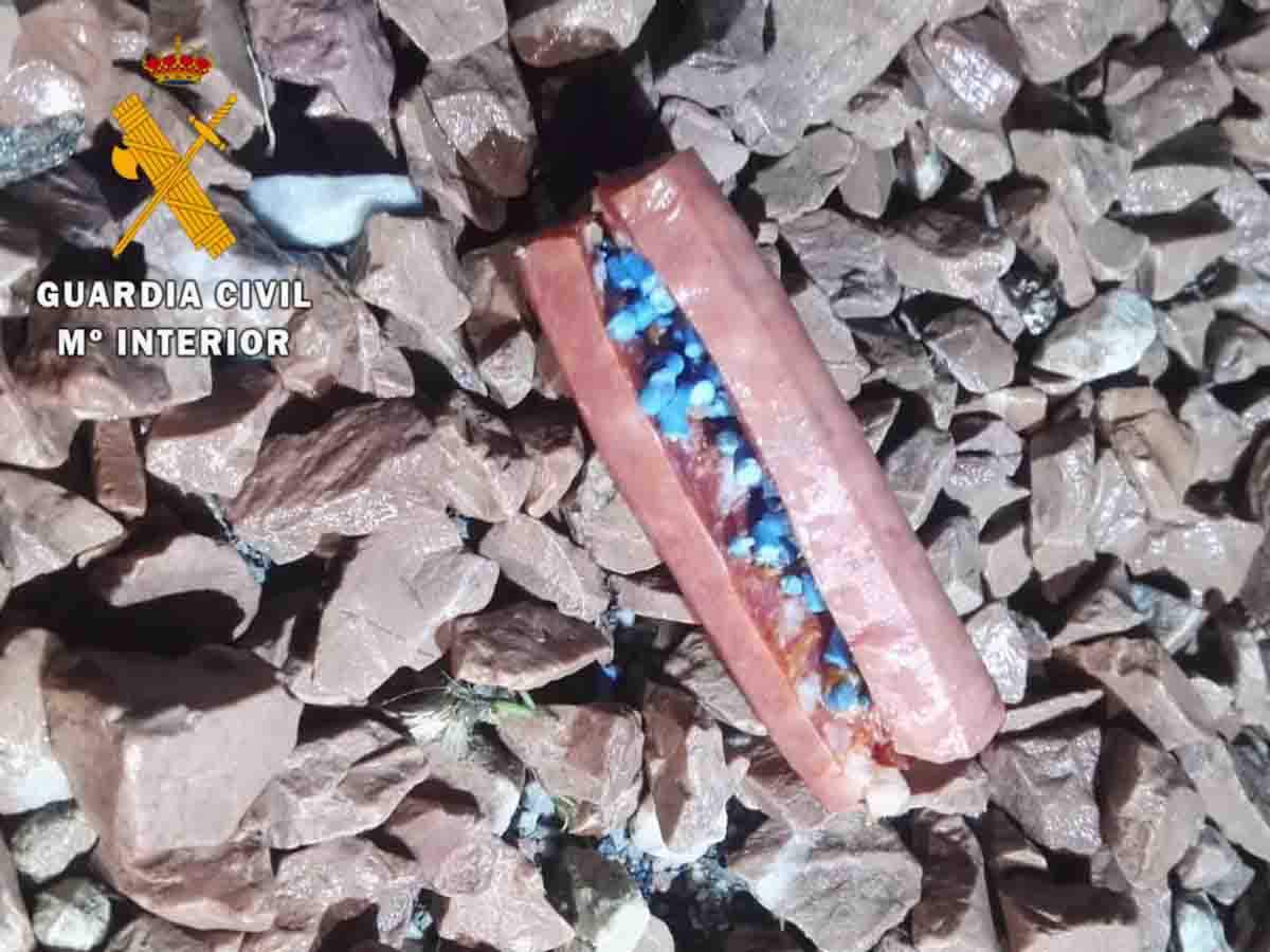 Alertan de salchichas envenenadas para perros en calles en Madrid / Foto: EP