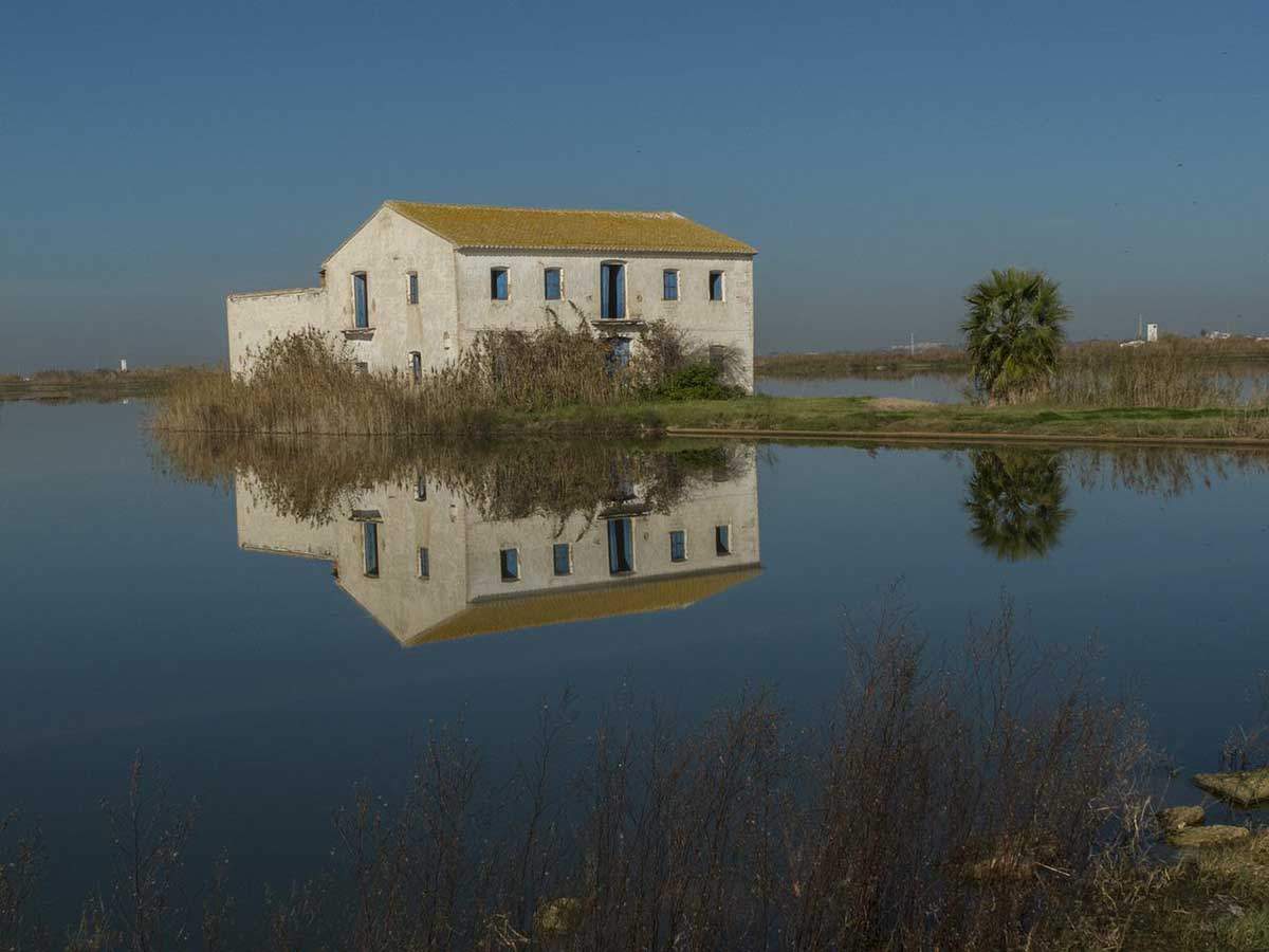 Vista de el Tancat de la Pipa (Valencia) consolidado como refugio para aves acuáticas / Foto: Pixabay