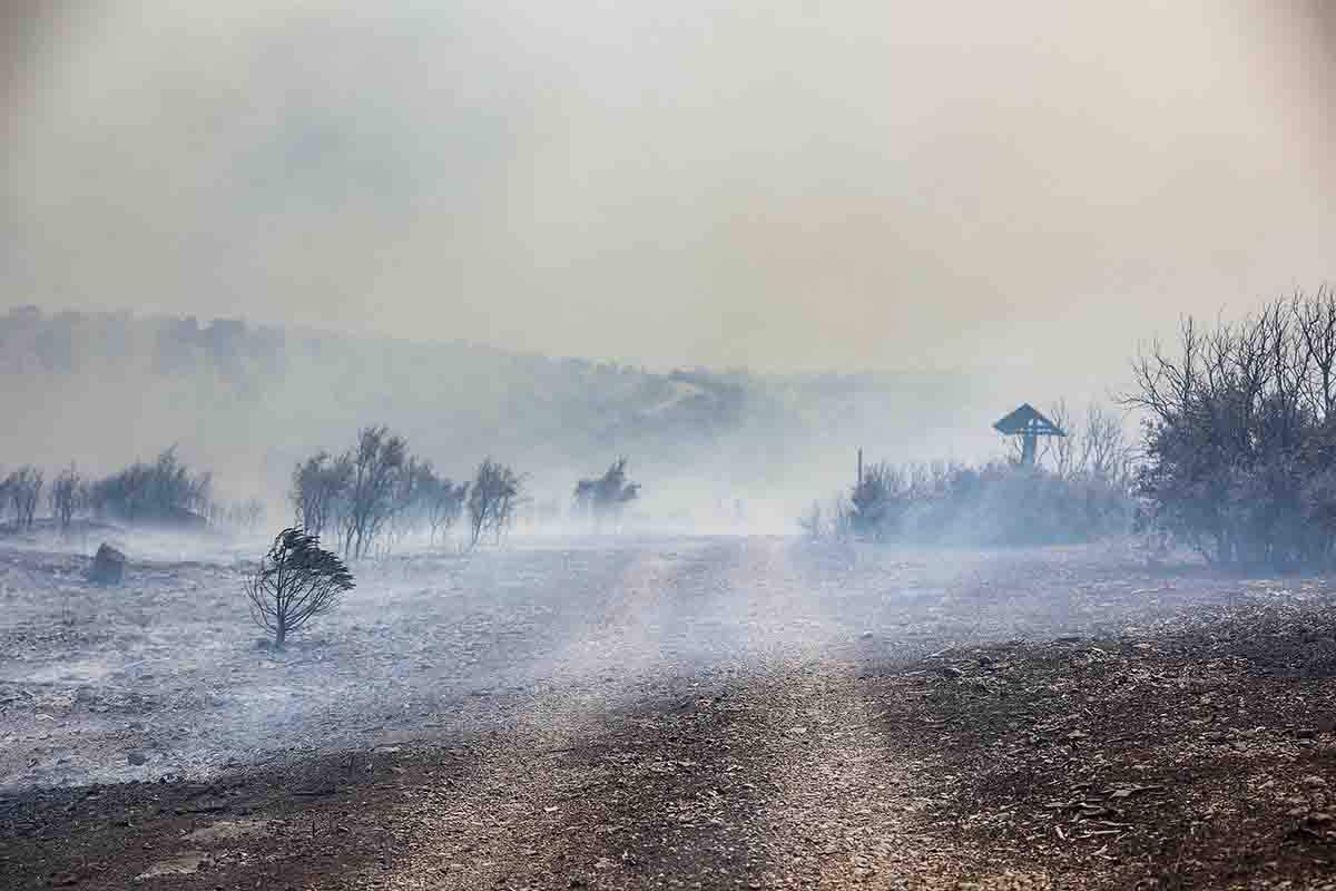 Zona calcinada en el Bastión de la Calderona por el incendio forestal que va desde Alcublas hasta las poblaciones de Bejis, Teresa, Toras y Altura en la comarca del Alto Palancia, en Castellón (Valencia). Cambio climático / Foto: Rober Solsona - EP