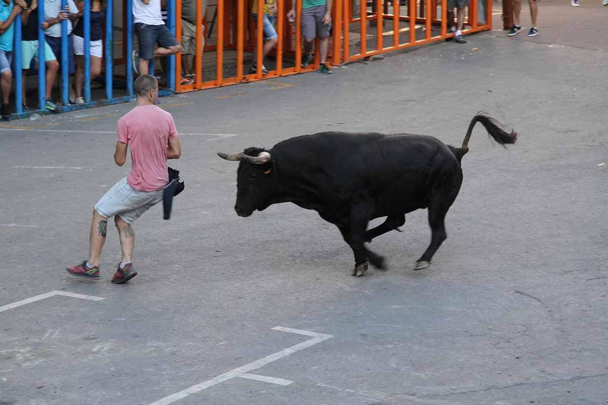 "Mayor endurecimiento" del reglamento de 'Bous al carrer' tras los siete fallecidos de este verano / Foto: EP