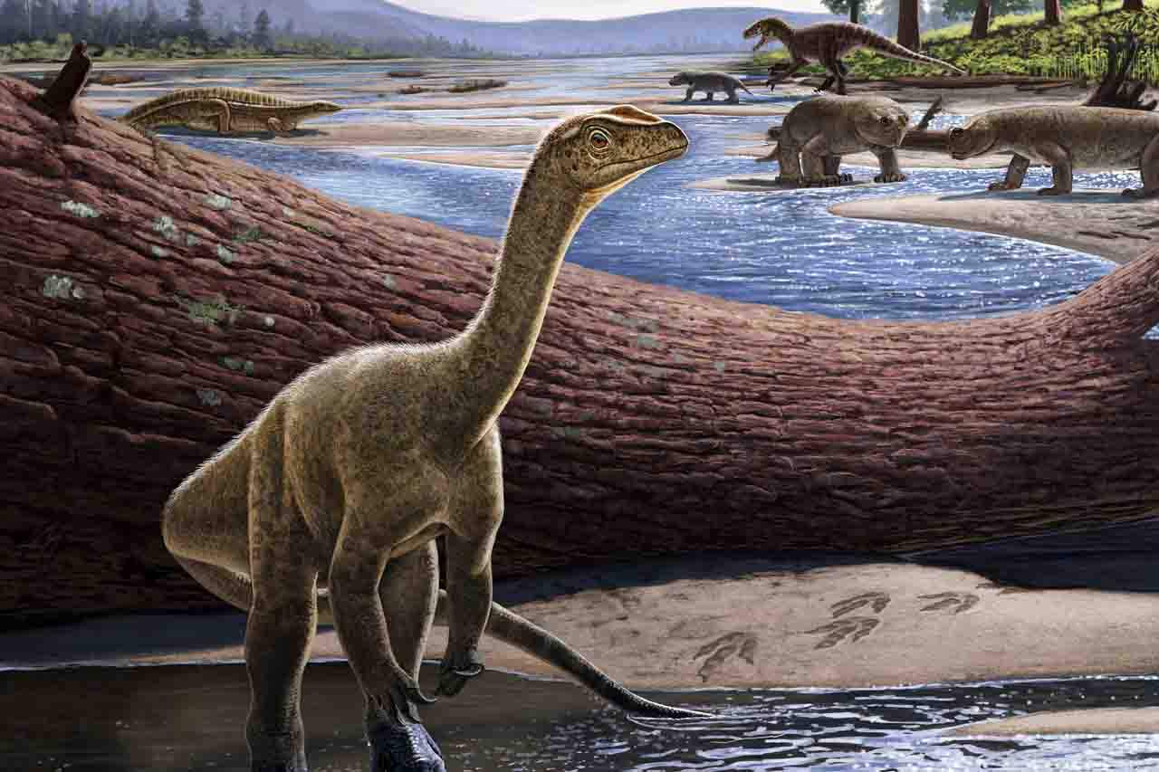 Reconstrucción artística de Mbiresaurus raathi (en primer plano) con el resto del conjunto de animales de Zimbabue al fondo. El dinosaurio más antiguo conocido de África / Imagen: Virginia Tech