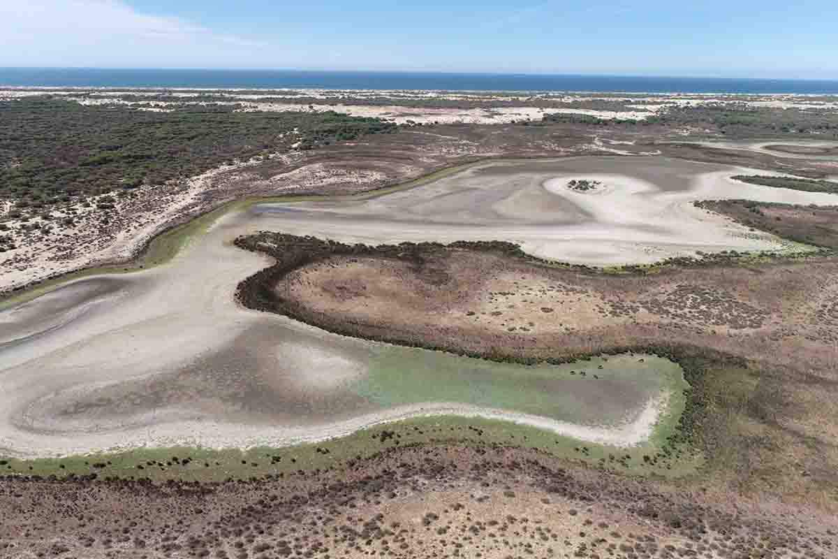 Laguna de Santa Olalla, en Doñana, seca en agosto de 2022 / Foto: EP
