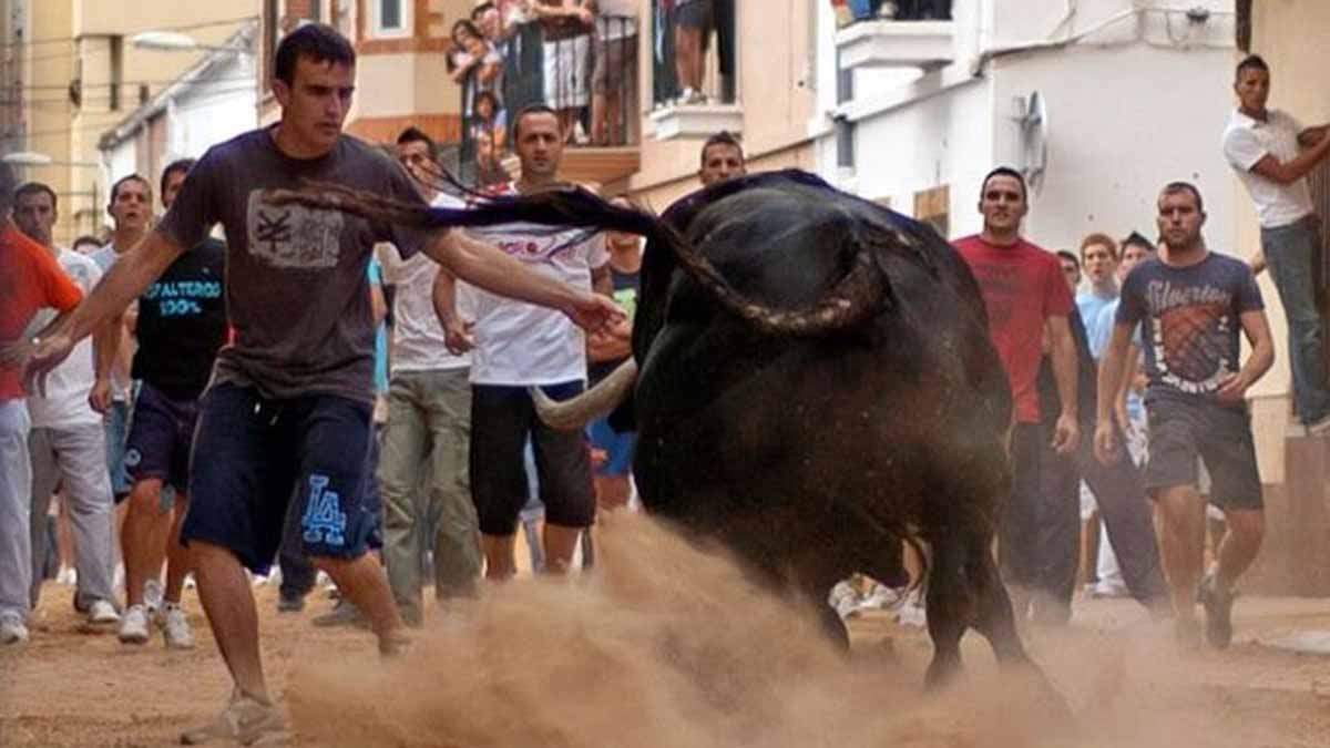 Bous al carrer ¿Una fiesta en la que muere gente es una fiesta? / Foto: EP