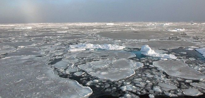 Manto congelado del Océano Ártico / Foto: Alek Petty - NASA