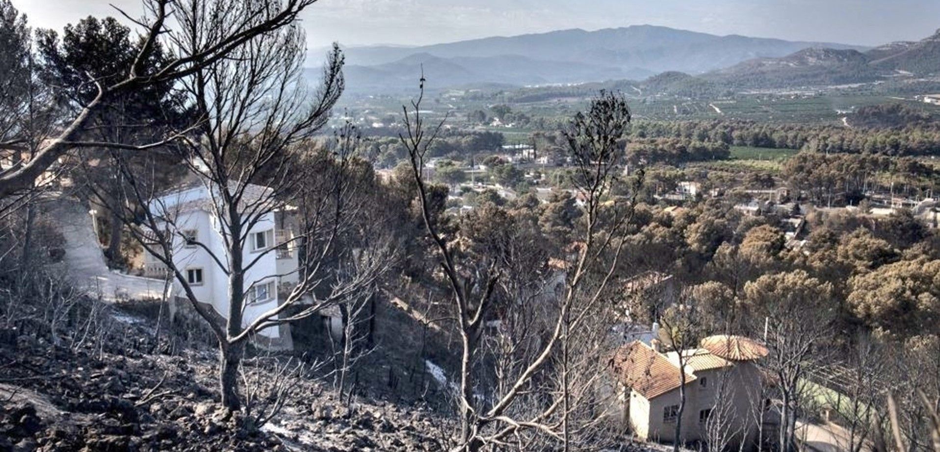 El incendio de Llutxent, uno de los peores del año, afectó a numerosas viviendas / Foto: Diputació de València