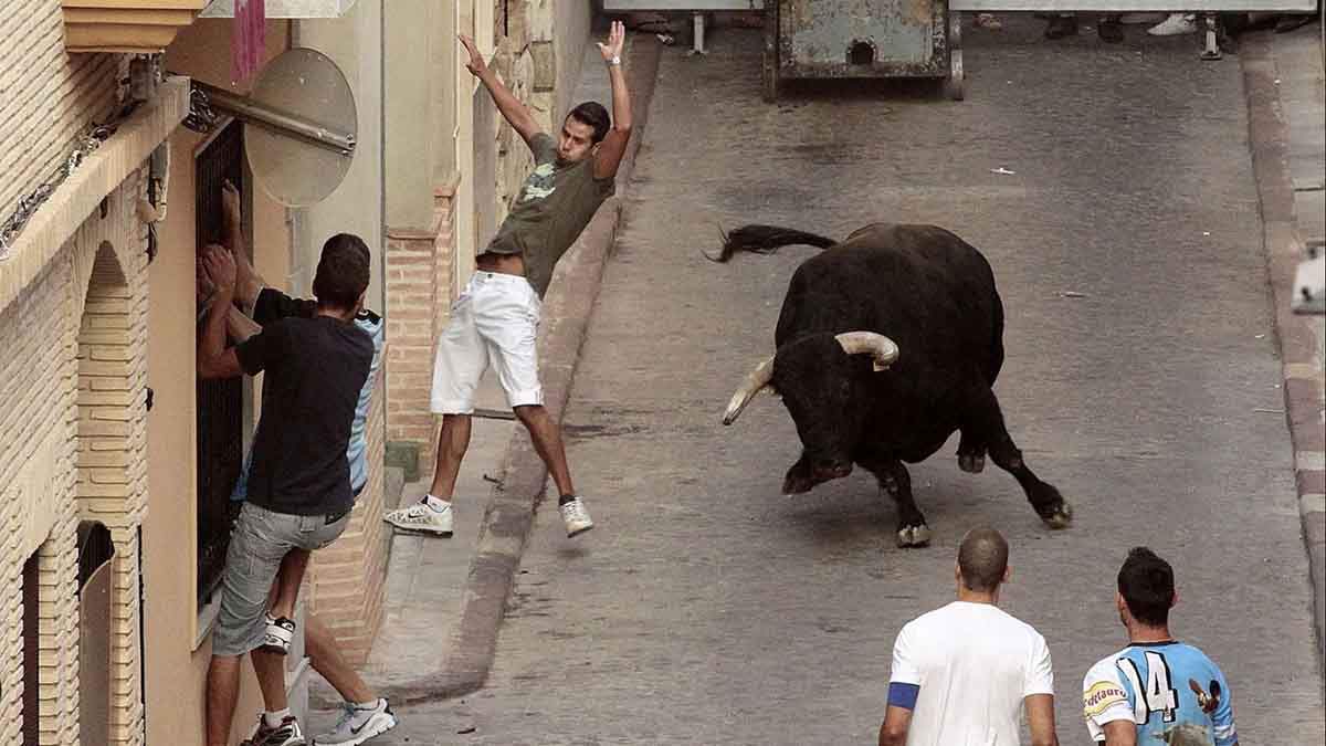 Festejo taurino de 'bous al carrer' en Puçol (Valencia) en imagen de archivo. Reclaman alternativas a las fiestas con toros "por violentas, peligrosas y basarse en el maltrato" / Foto: EP