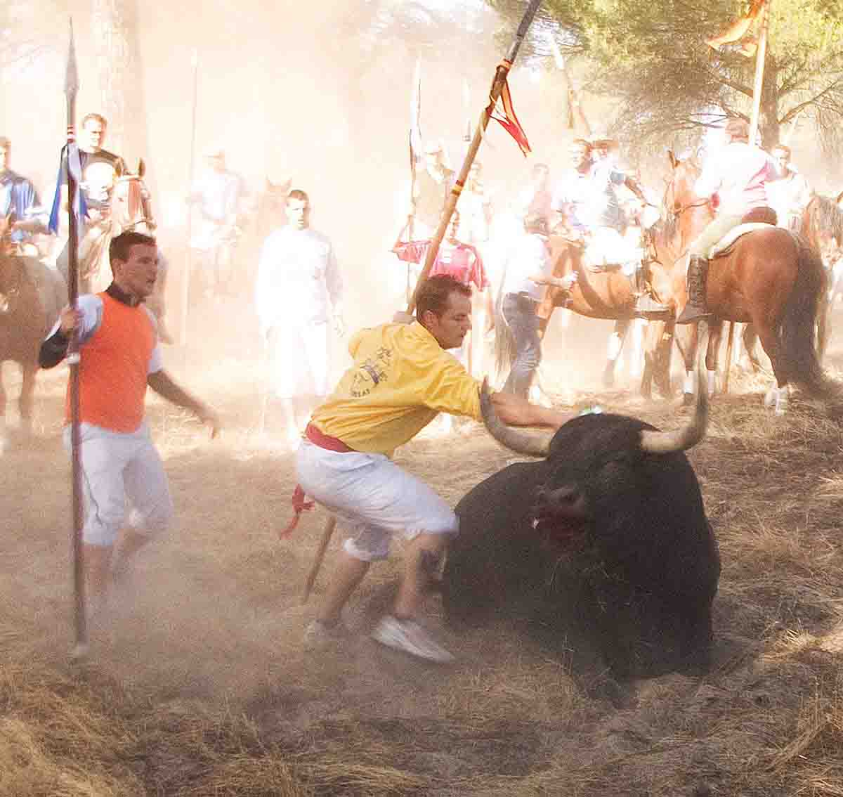 Crear una 'Reserva Natural del Toro de la Vega' y la "humanización" del festejo / EP