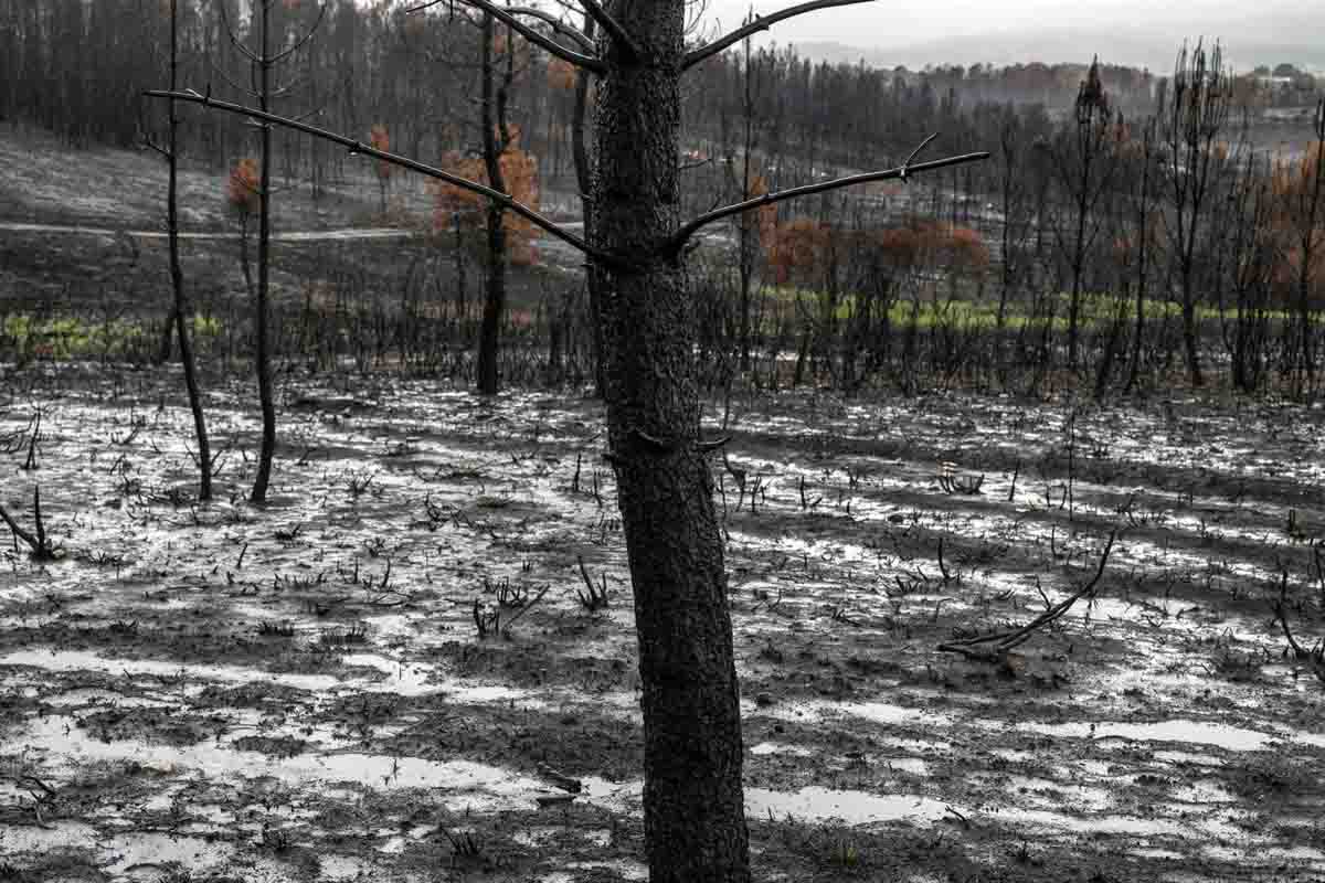Terrenos calcinados bajo la lluvia en la Verín en la provincia de Ourense, Galicia (España) / Foto: EP