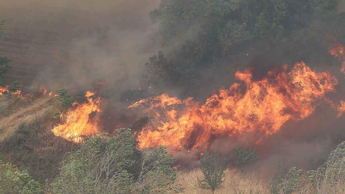 Varias colillas fueron el origen de un incendio forestal registrado este mes de septiembre en O Pino (La Coruña) / Foto: EP