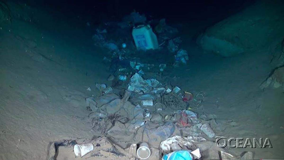 Oceana reclama que no se sustituyan los plásticos desechables por otros materiales de un solo uso / Foto: Oceana