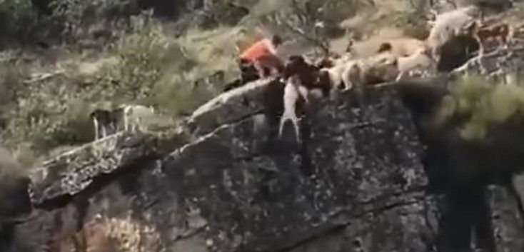 Captura del vídeo captado por otro cazador y emitido por las redes sociales / Foto: YouTube