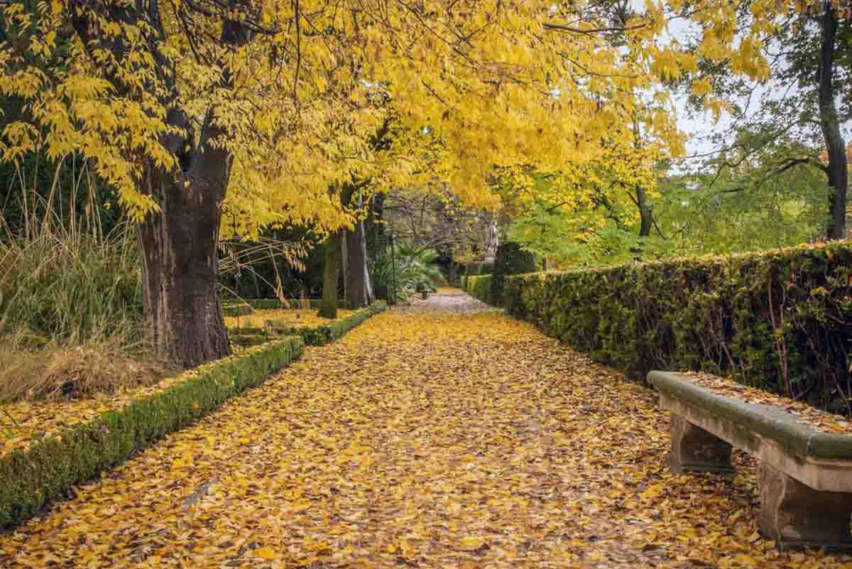 Caminos del Real Jardín Botánico en otoño / Foto: Marisa Esteban - EP