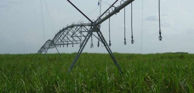 Sistema de irrigación en un campo de caña de azúcar / Foto: BFA