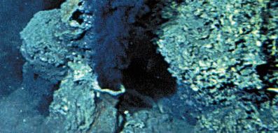 La arquea 'Geogemma barosii' puede vivir em surgencias termales como esta a 121 grados / Foto: Microwebwiki