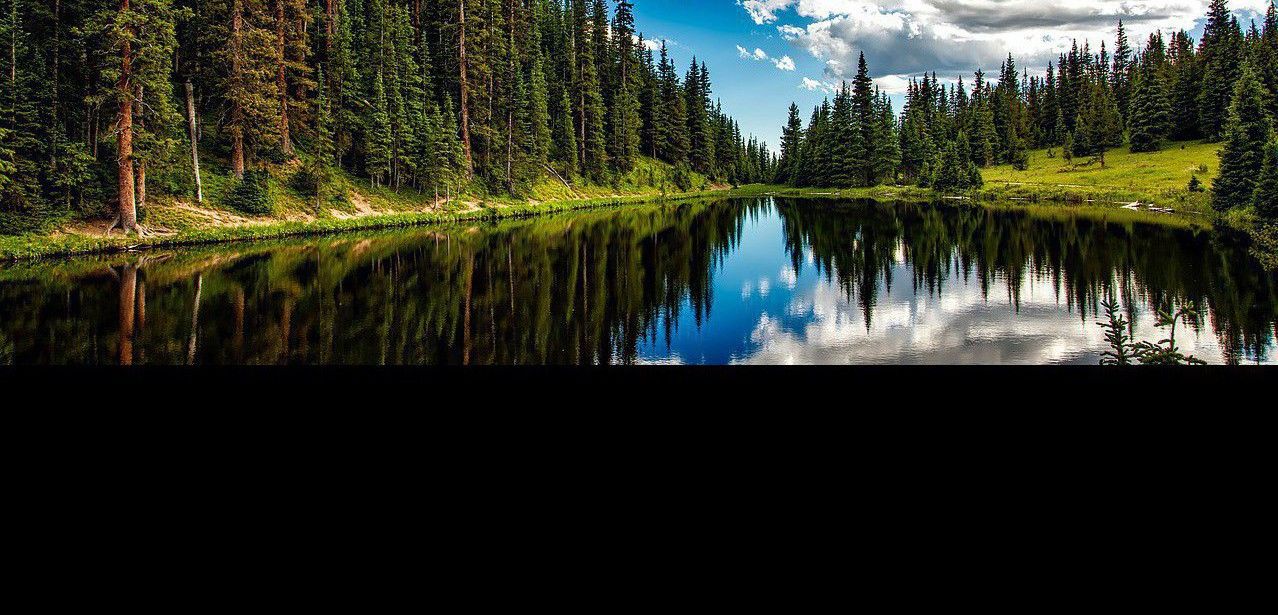 Bosques de coníferas junto al lago Irene, en el estado norteamericano de Colorado / Foto: Pixabay