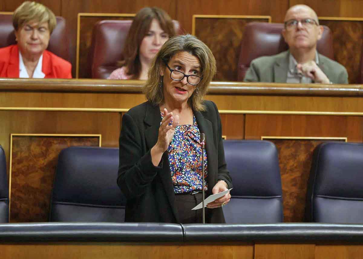 La vicepresidenta del Gobierno y ministra para la Transición Ecológica y el Reto Demográfico, Teresa Ribera, en una foto de archivo / Foto: EP
