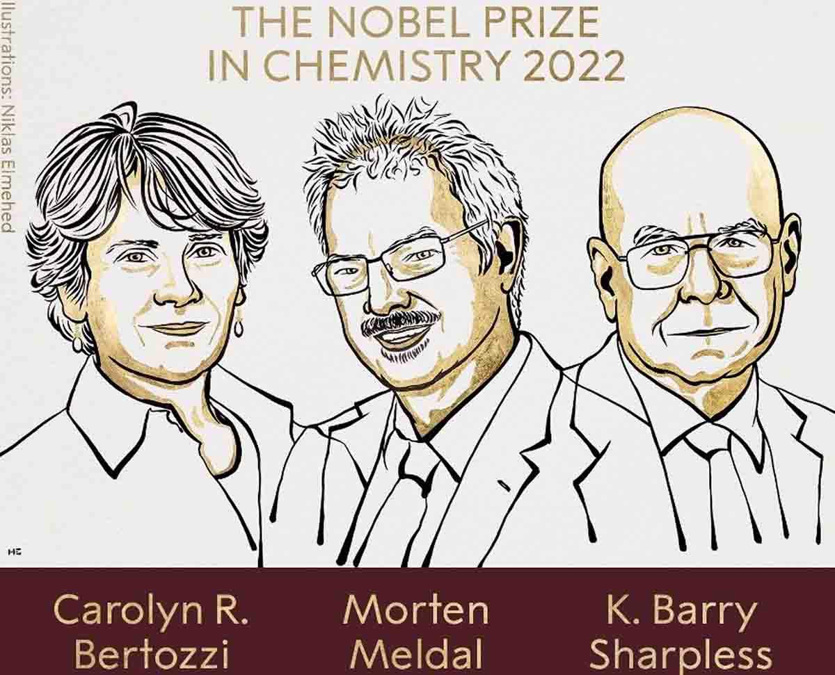 Ganadores del Nobel de Química 2022 / Imagen: Nobel Prize
