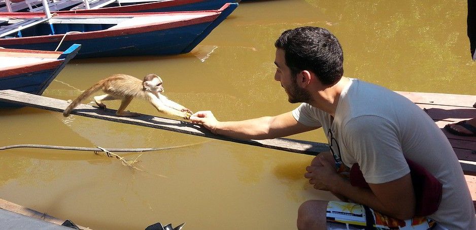 Un turista ofrece comida a un mono salvaje en un paraje de Brasil / Foto: Papoutsis 89