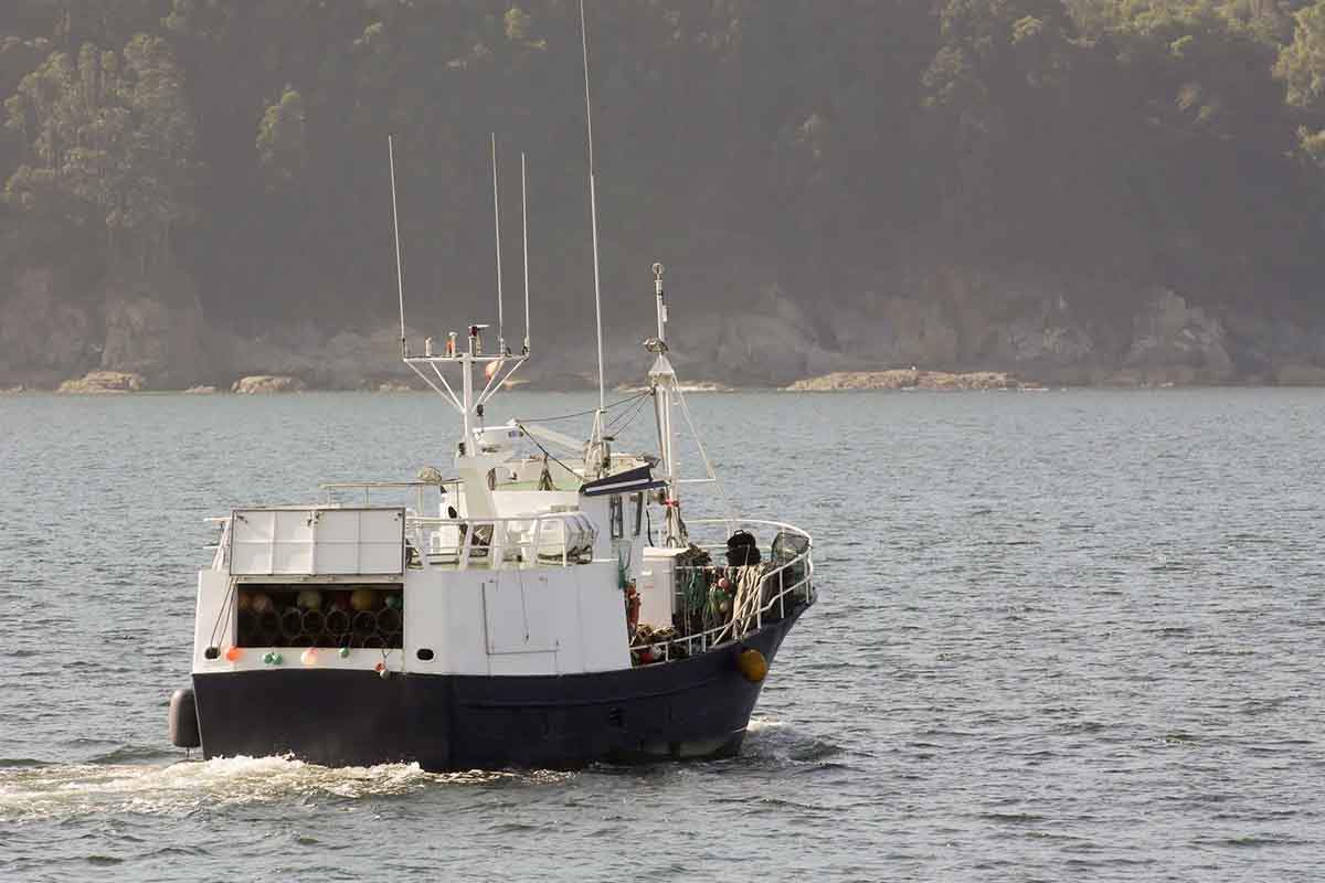 Pesca de fondo. Barco pesquero / Foto: Carlos Castro - EP