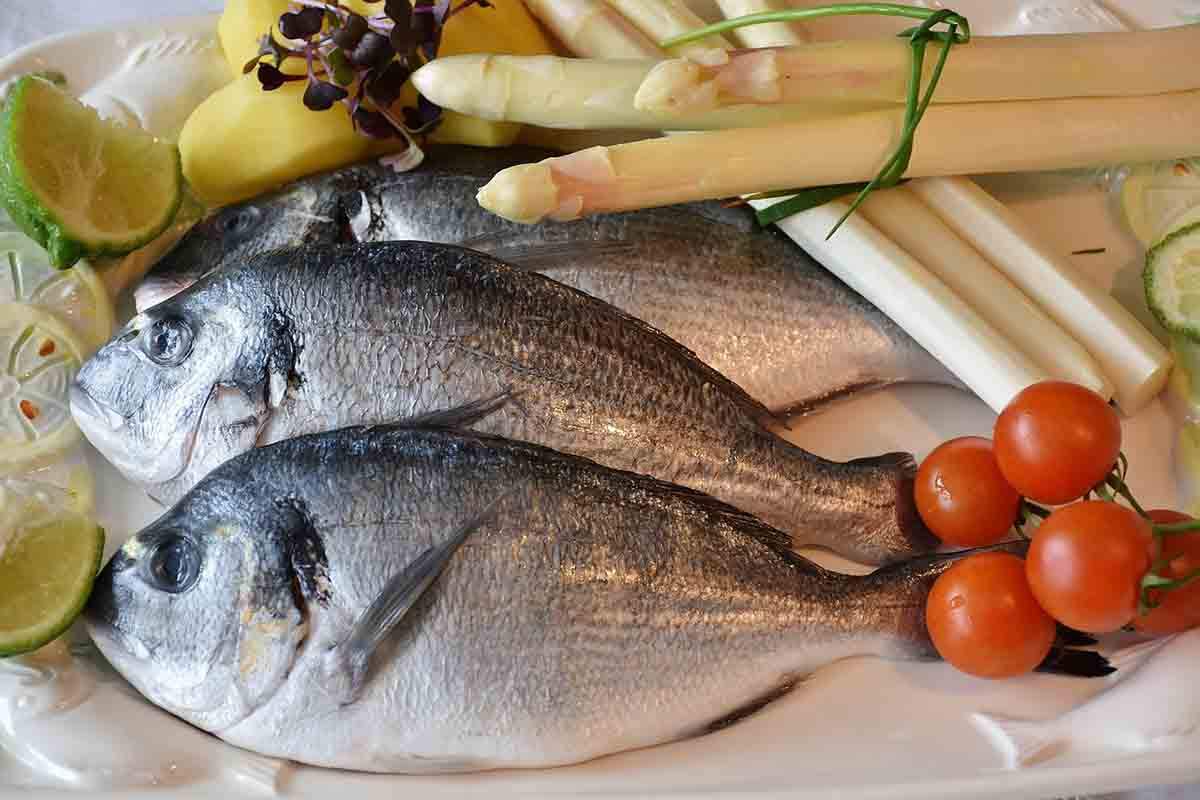 El besugo es de los pescados con bajo nivel de mercurio / Foto: Pixabay