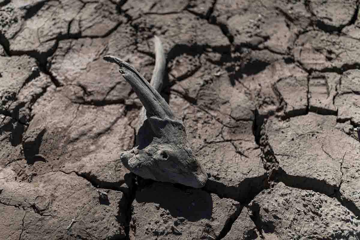 Sequía en el pantano de Sau, Barcelona, a 3 de octubre de 2022. Los embalses bajan al 31,7% de su capacidad total / Foto: Lorena Sopêna - EP