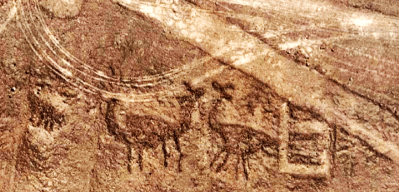 Huellas del paso de uno de los vehículos del rally sobre geoglifos del desierto de Nazca / Foto: Asociación Maria Reiche