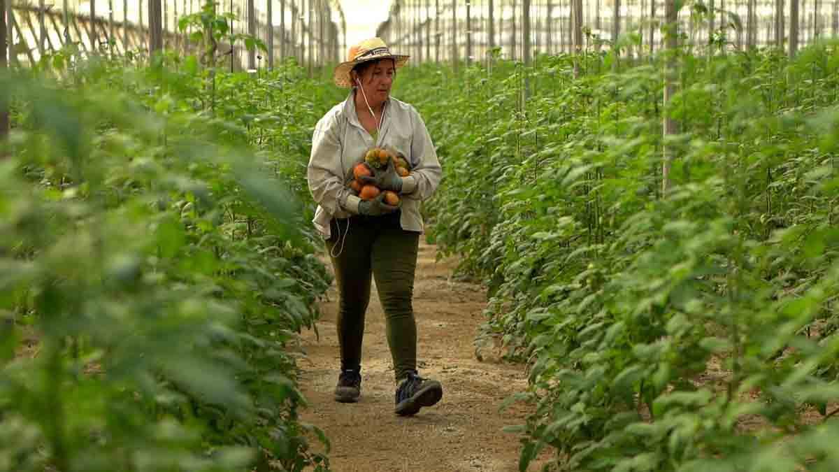 La mujer rural contribuye a mitigar los escenarios de la despoblación / Foto: Documental 'Mujeres rurales'  de María Artigas