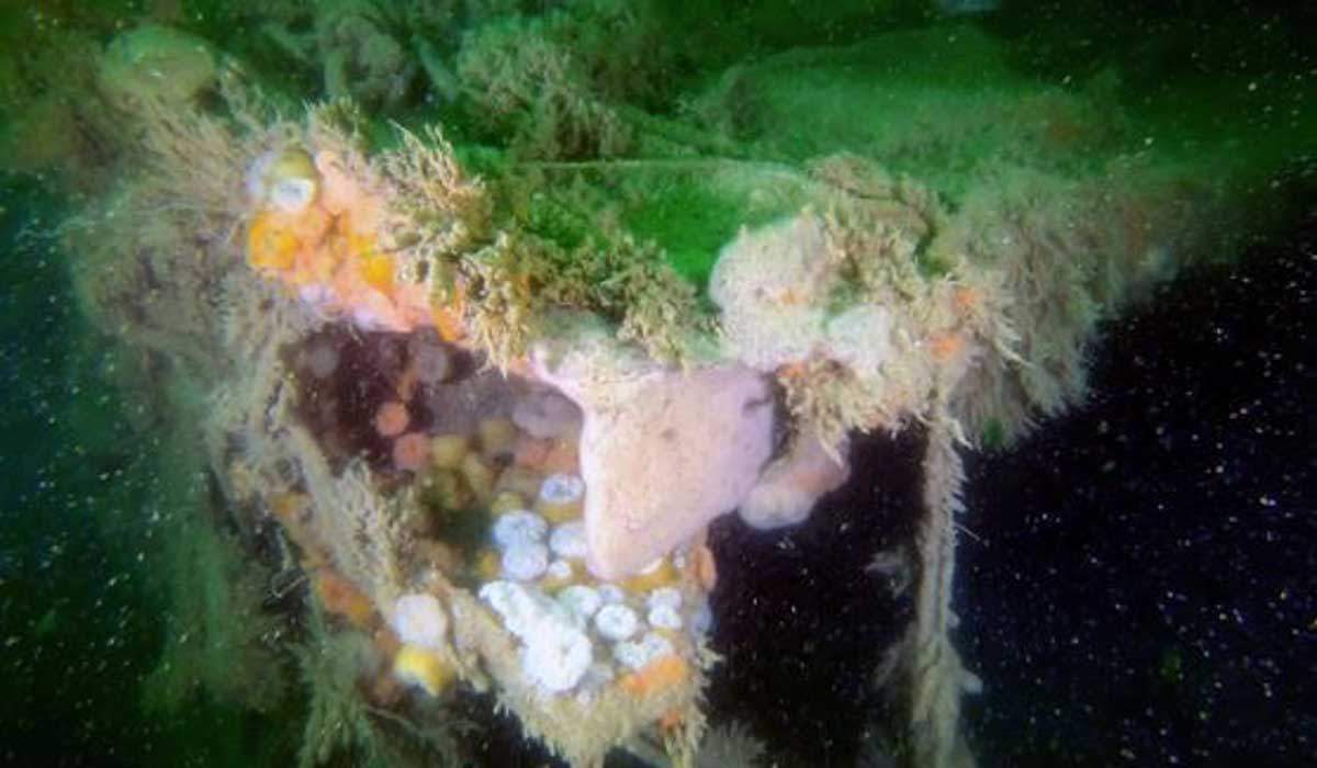 Revestimiento de cubierta rasgado de un barco naufragado durante la ll Guerra Mundial / Foto: VLIZ - EP