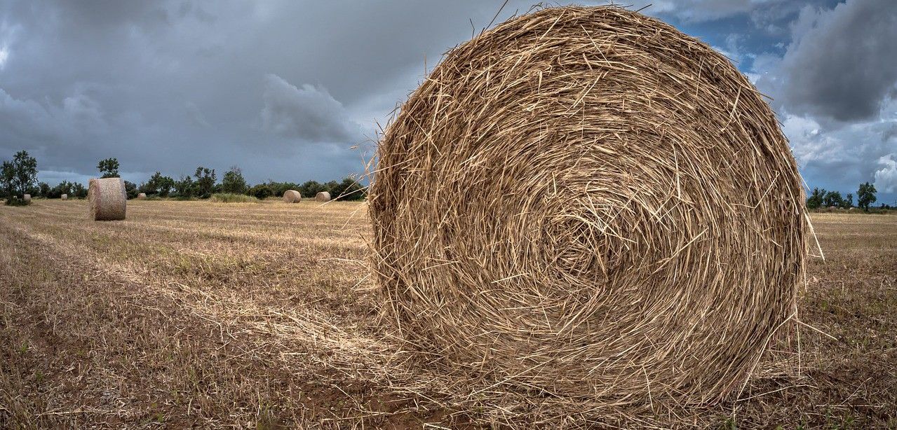 Heno para forraje preparado para ser recogido en una finca / Foto: Pixabay