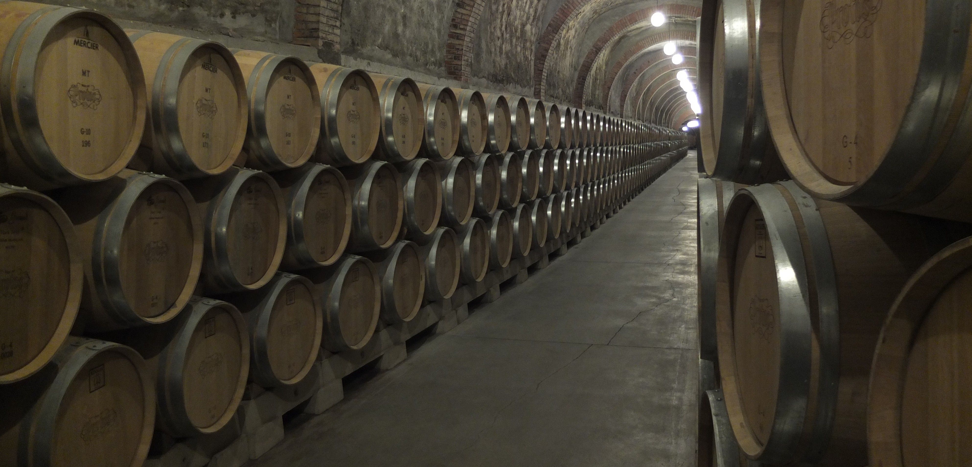 Barriles de roble en una bodega subterránea en Peñafiel (Valladolid) / Foto: JMP