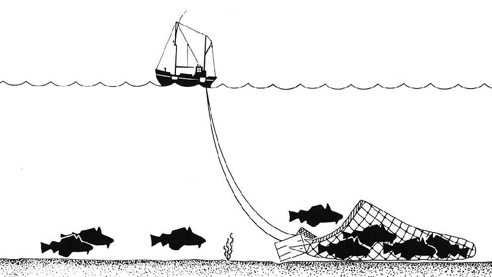 Pesca de arrastre de fondo / Imagen: Wikipedia