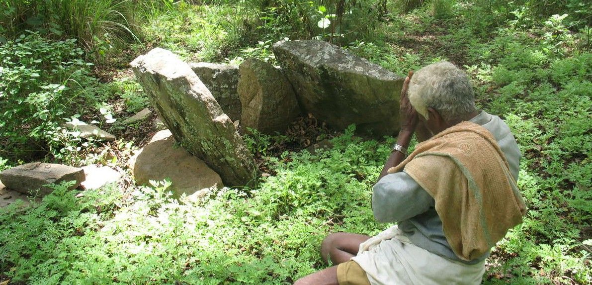 Un soliga rindiendo culto a un lugar sagrado en el interior de una reserva de tigres / Foto: Atree / Survival