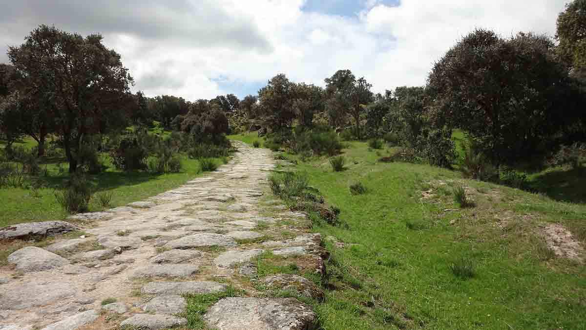 Calzada romana entre encinas / Foto: Pixabay