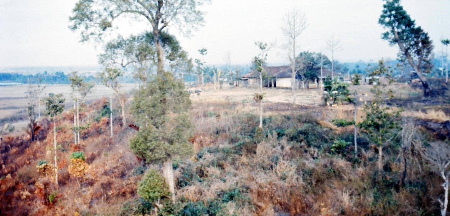 Bosque vietnamita arrasado por los productos químicos norteamericanos / Foto: US Army Flight Operations Specialist 4 John Crivel