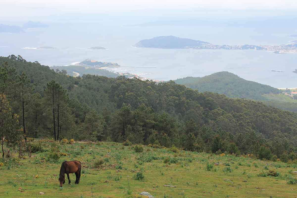 Freno al proyecto del parque eólico de O Merendón en la Serra da Groba / Foto: Xunta de Galicia