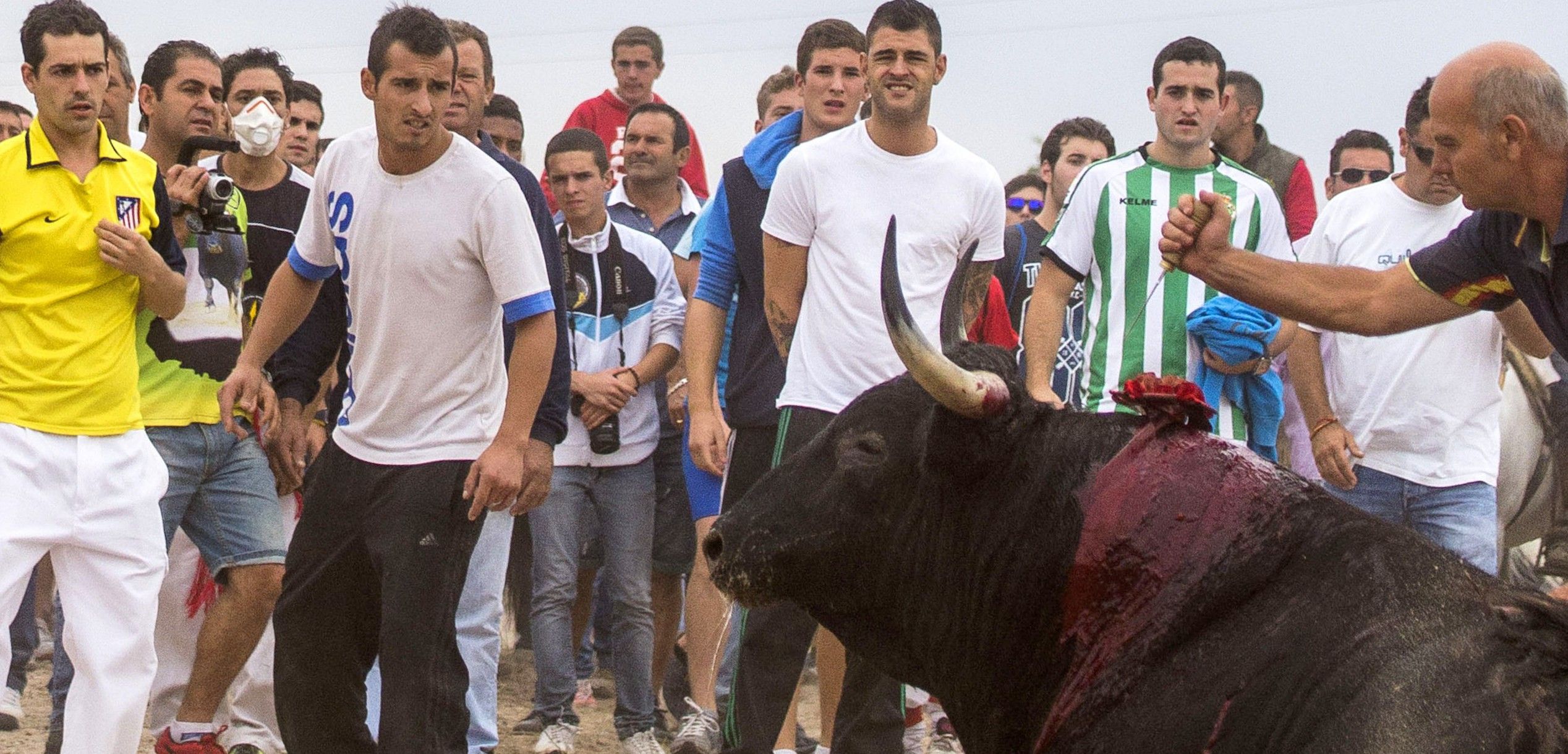 Momentos finales de 'Elegido', el toro sacrificado en la edición de 2014 / Foto: Wikipedia