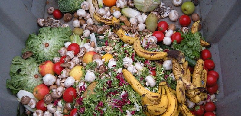 Frutas, verduras y hortalizas tiradas en un contenedor de residuos / Foto: Wikipedia