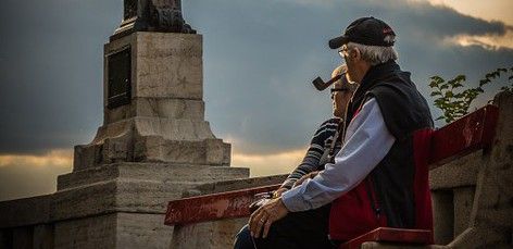 Las células de la zona estudiada participan en la creación de nuevos recuerdos / Foto: Bergadder