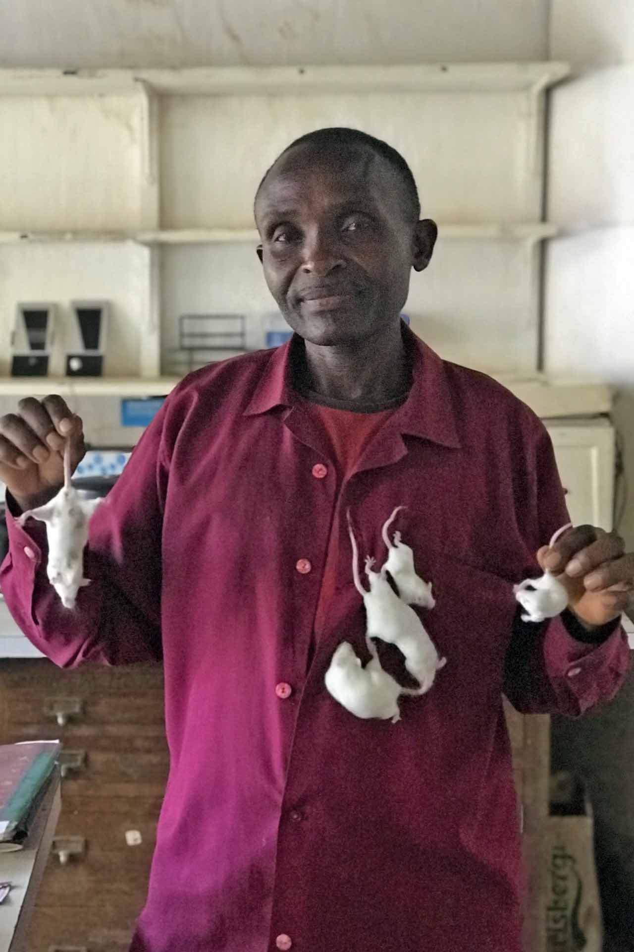 Martin Kimweri cuida una colonia de ratones blancos en los laboratorios biológico-agricolas abandonados en Amani (Tanzania) / Foto: Capitán Swing