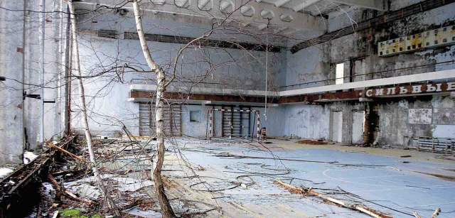 Un abedul plateado se abre paso en un pabellón deportivo abandonado de Prípiat (Ucrania) / Foto: Capitán Swing