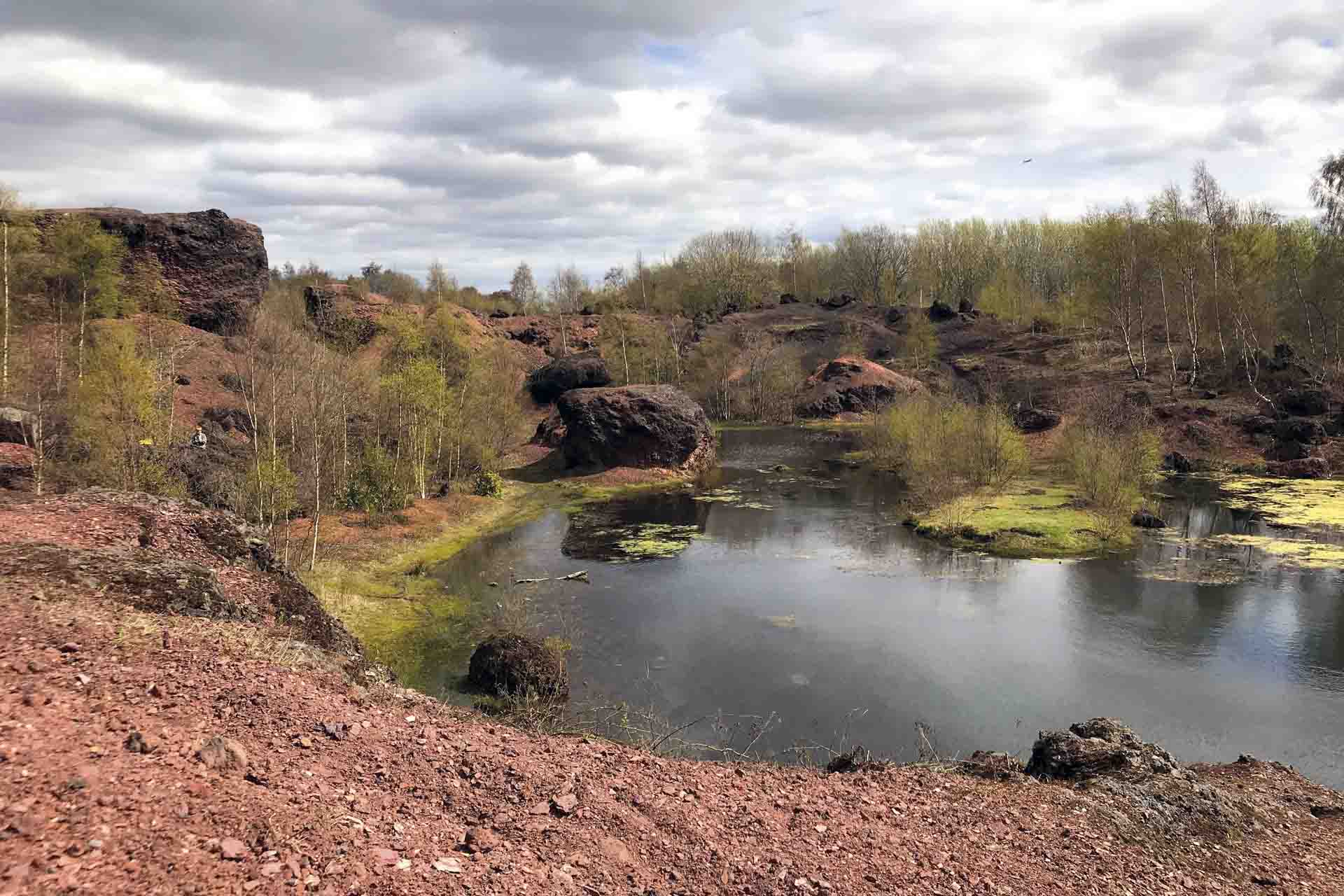 Un montón de desechos en West Lothian, Escocia (Reino Unido), donde una intensa frondosidad echa raíces entre la lutita / Foto: Capitán Swing